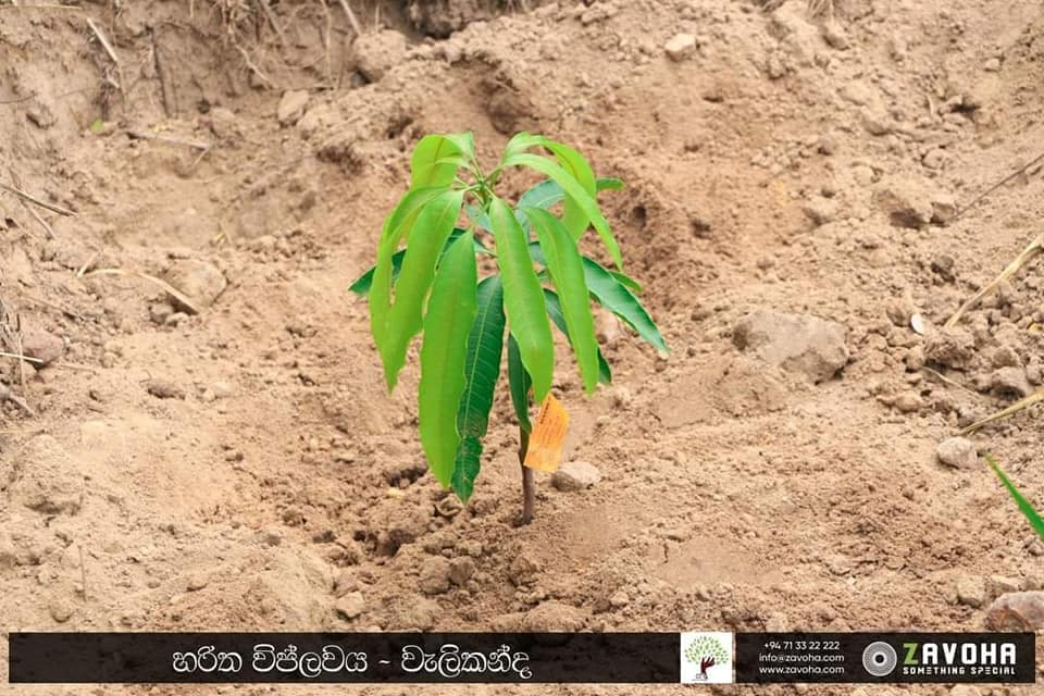 119060646_1040303776424368_3147907205275101901_n