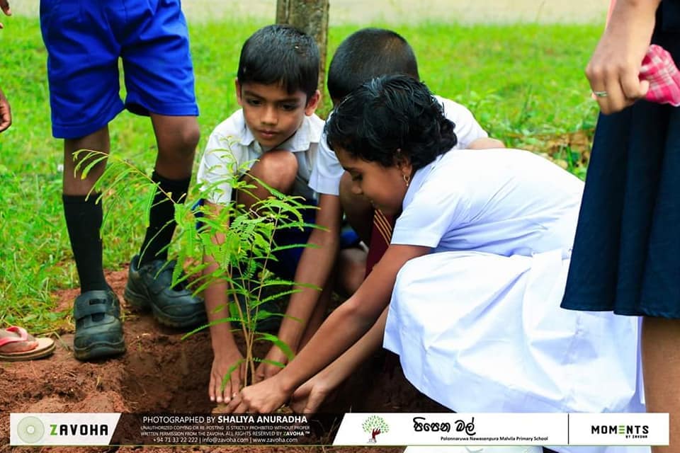 82253811_858117441309670_8334489462155247616_n