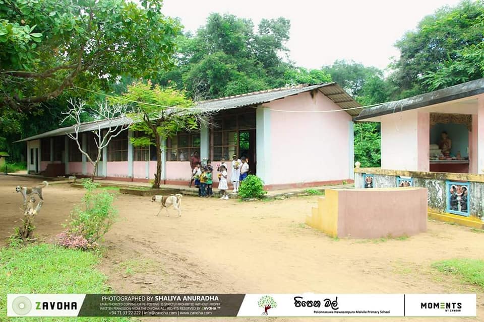 82410067_858117607976320_519956325766004736_n